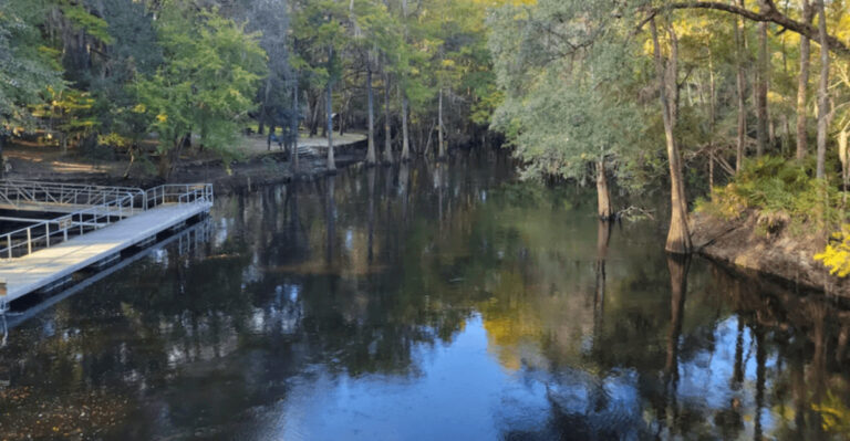 This gorgeous Florida state park is so little known, you’ll feel like you have the whole place to yourself