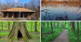 This gorgeous Illinois state park remains one of the state’s best-kept secrets