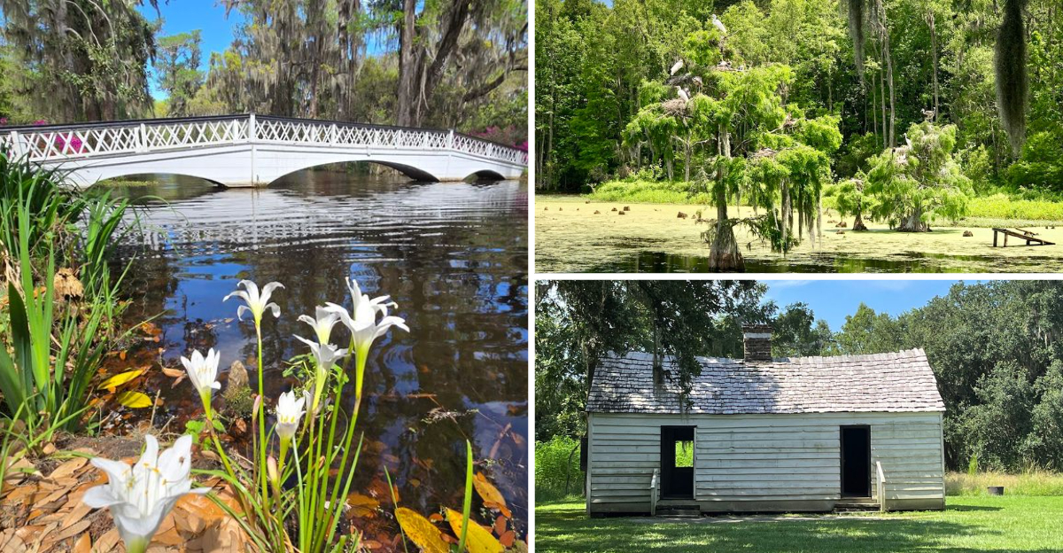 This gorgeous South Carolina garden feels like stepping into a dream
