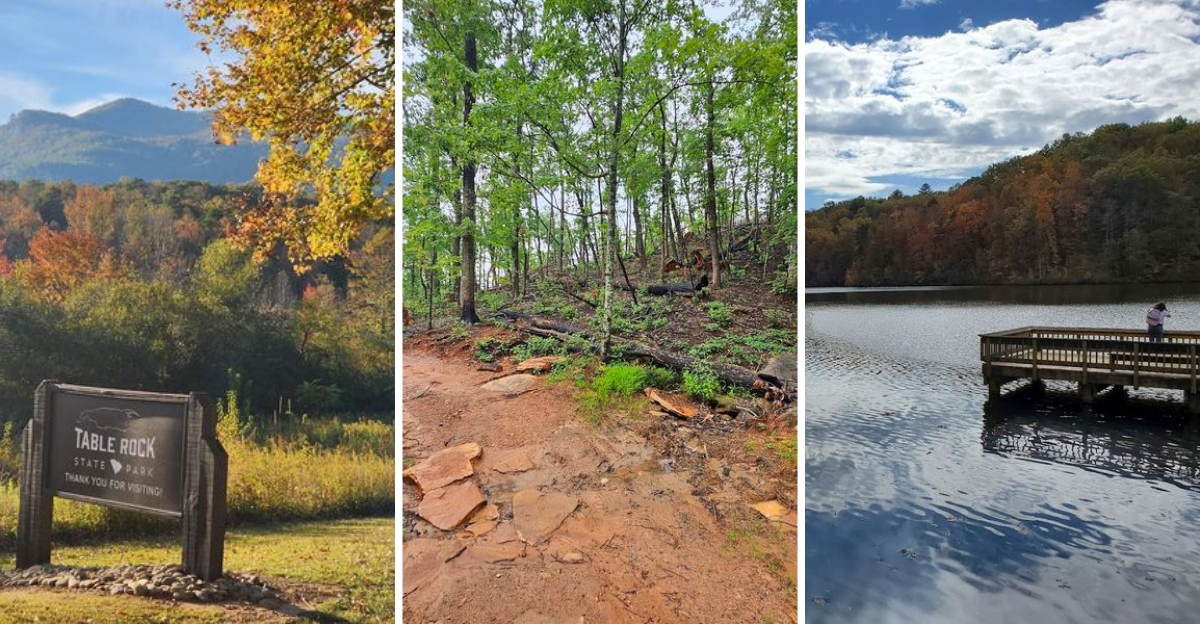 This gorgeous South Carolina state park remains one of the states best hidden gems