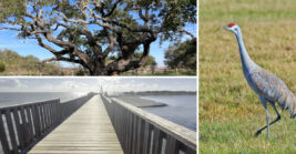 This gorgeous Texas state park hides one of the state’s most breathtaking natural wonders