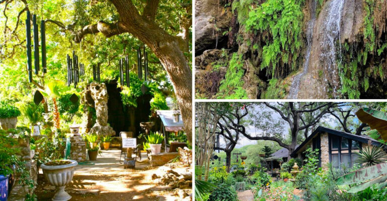 This gorgeous natural spring in Texas feels like stepping straight into a fairy tale