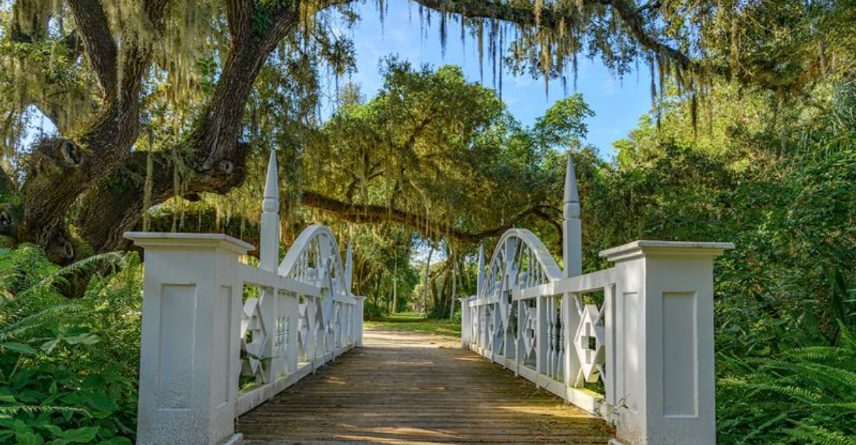This mysterious 200 acre Florida state park feels like something straight out of The Twilight Zone