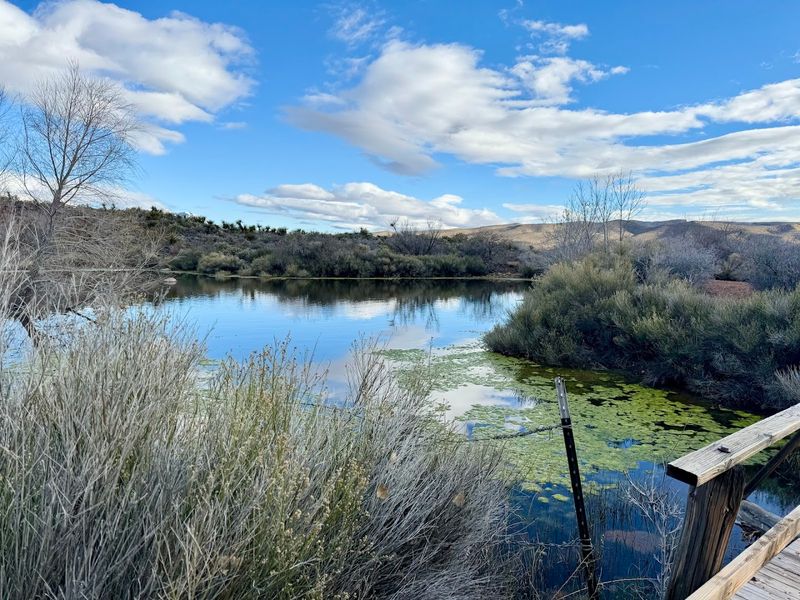 Three Distinct Ecosystems in One Park
