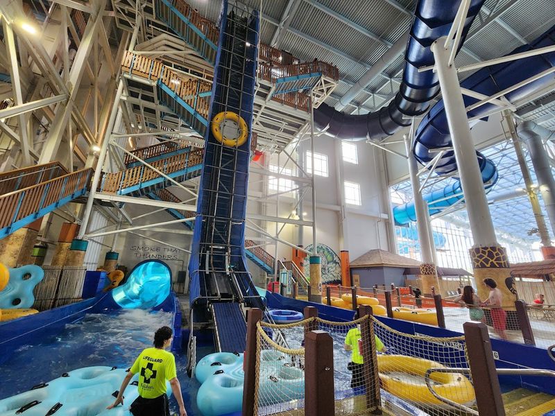 Thrilling Waterslides for Every Brave Soul Thrilling Waterslides for Every Brave Soul