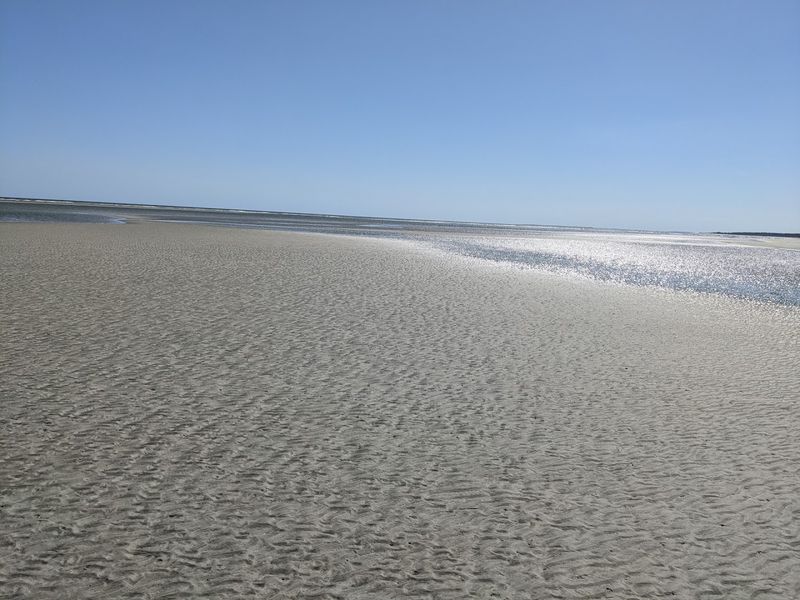 Tidal Rhythms: Understanding the Beach's Ever-Changing Personality