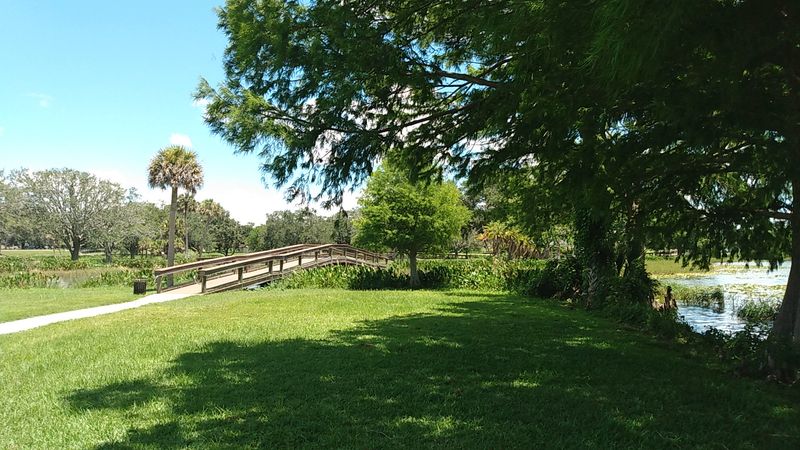 Tiny Islands You Can Actually Walk To