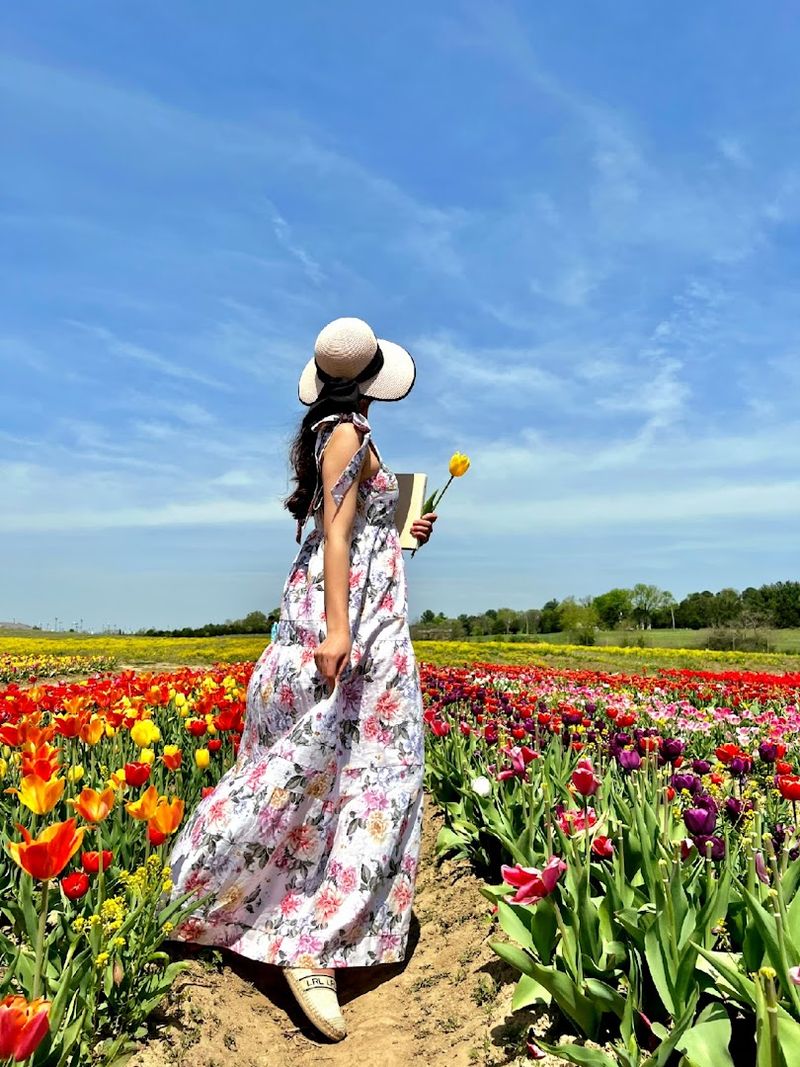 Tips for Making the Most of Your Visit