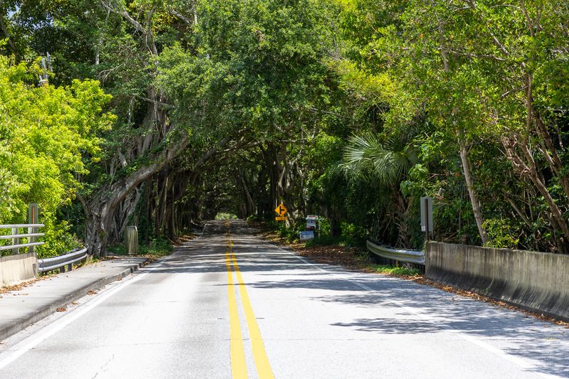 Tips for Respecting the Neighborhood While You Visit Tips for Respecting the Neighborhood While You Visit