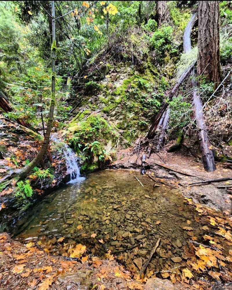 Tiptoe Falls: A Rewarding Hidden Waterfall