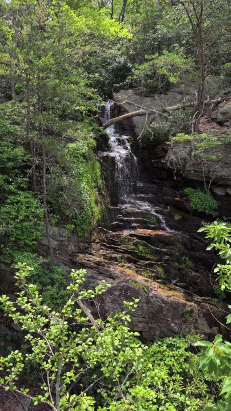 Tory's Den Falls — The Waterfall Right Next Door Tory's Den Falls — The Waterfall Right Next Door