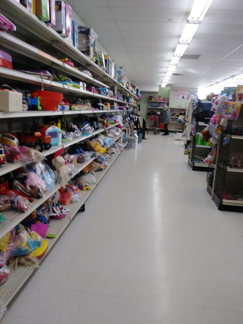 Toy Section in the Back That Kids Will Go Absolutely Wild Over