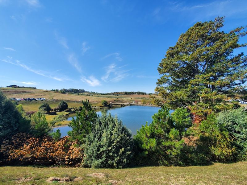Tractor Tours With Stunning Mountain Views