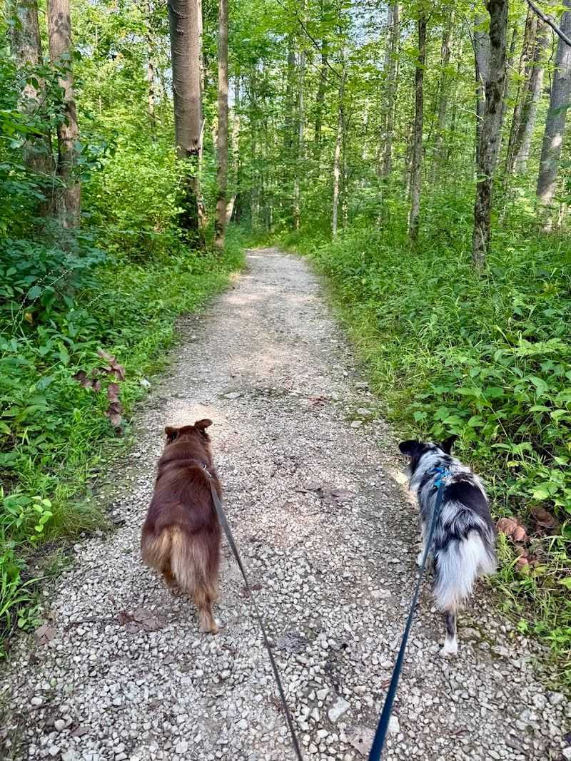 Trail Conditions and Practical Tips for a Great Visit Trail Conditions and Practical Tips for a Great Visit