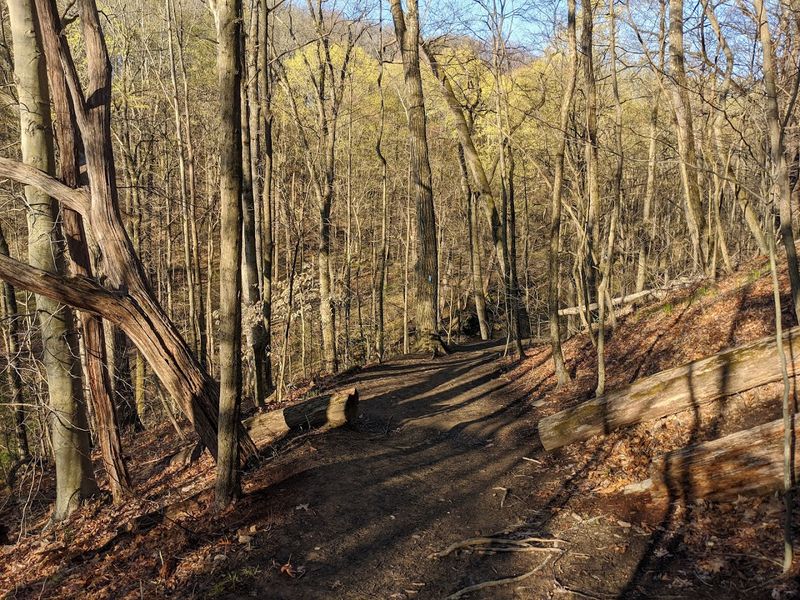 Trail Conditions and Safety Tips: What to Expect Underfoot Trail Conditions and Safety Tips: What to Expect Underfoot