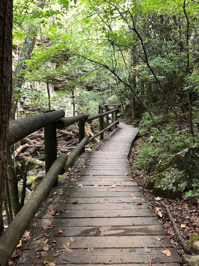 Trail Difficulty: Genuinely Accessible for Most Hikers Trail Difficulty: Genuinely Accessible for Most Hikers