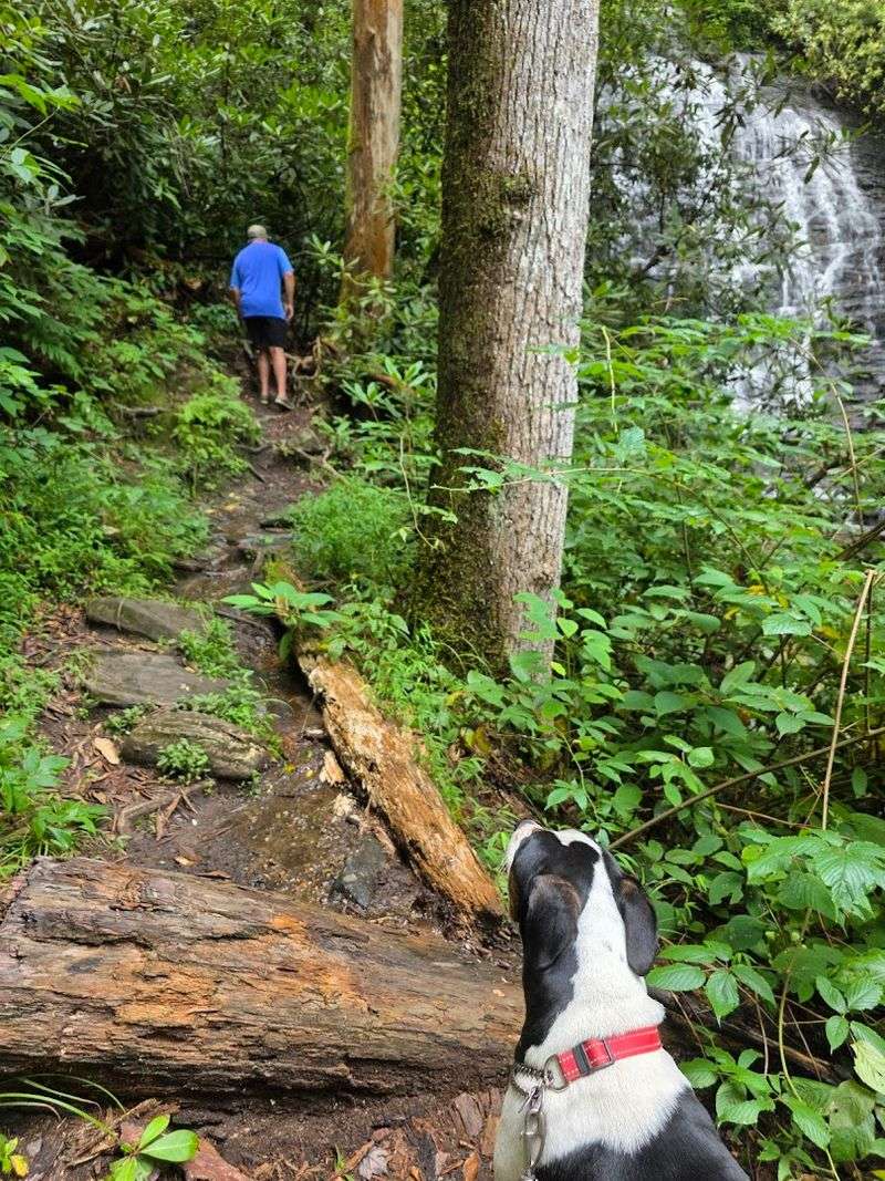 Trail Difficulty: What to Honestly Expect Trail Difficulty: What to Honestly Expect