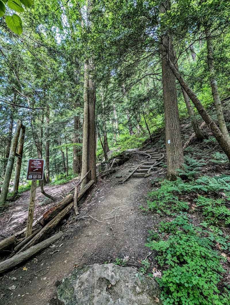 Trail Difficulty and What to Realistically Expect