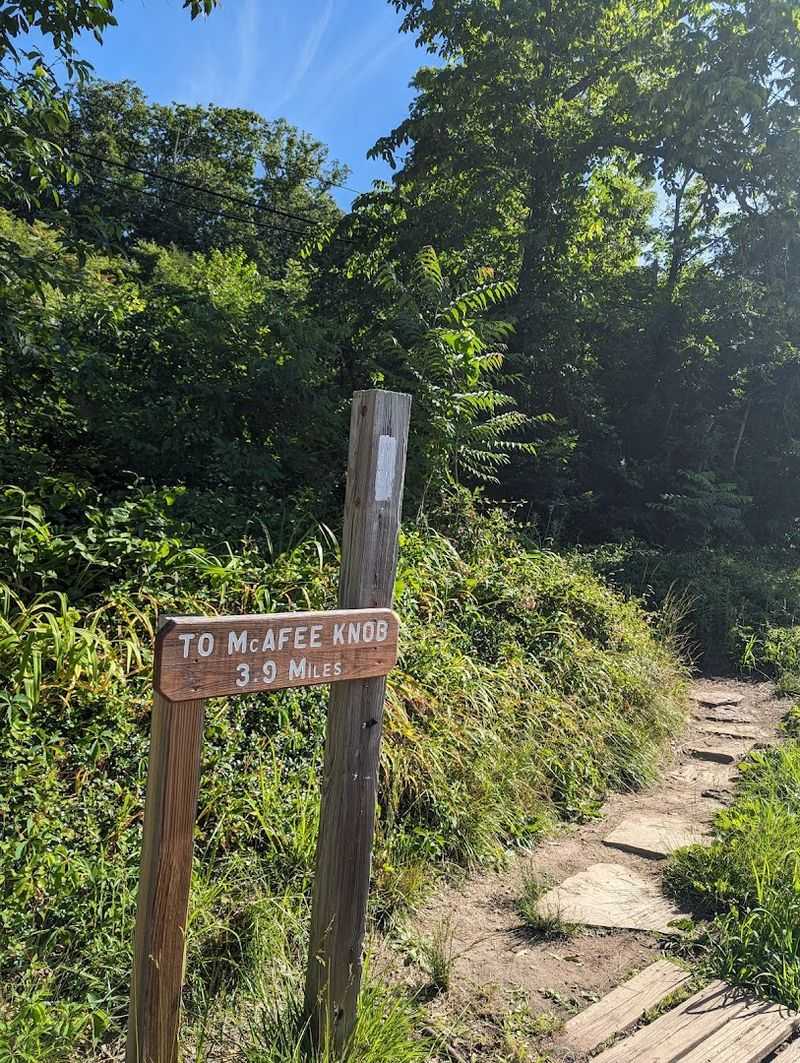 Trail Distance and Elevation You Should Know