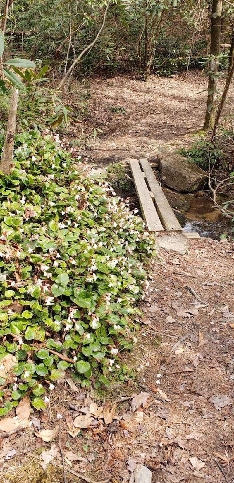 Trail Maintenance That Keeps Things Running Smoothly
