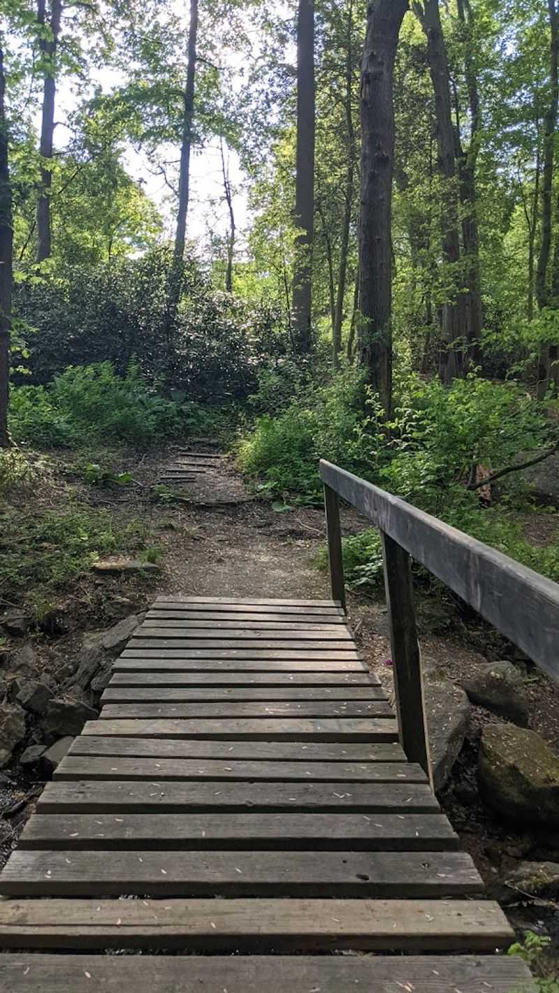 Trail Navigation Tips for First-Time Visitors