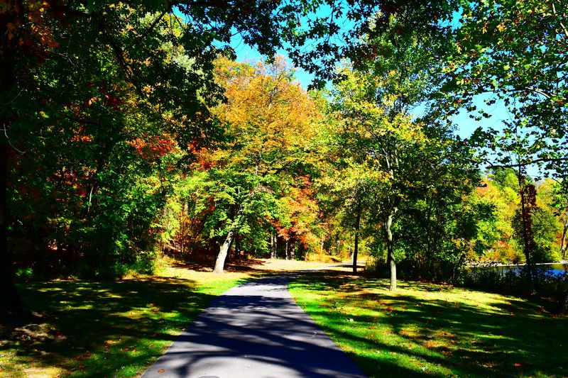 Trail Options for Every Fitness Level Trail Options for Every Fitness Level