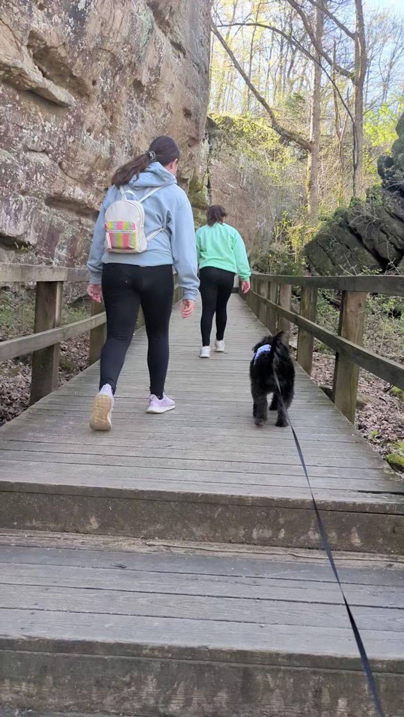 Trails for Every Skill Level, From Beginners to Thrill-Seekers Trails for Every Skill Level, From Beginners to Thrill-Seekers