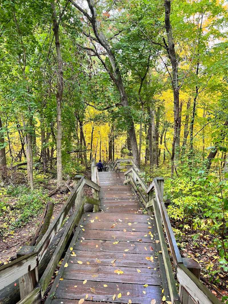 Trails for Every Skill Level — Beginners Welcome