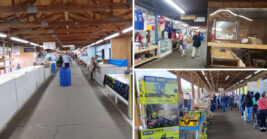 Treasure Hunters Can Spend Hours Exploring This Giant South Carolina Marketplace Packed With Thousands Of Vendors