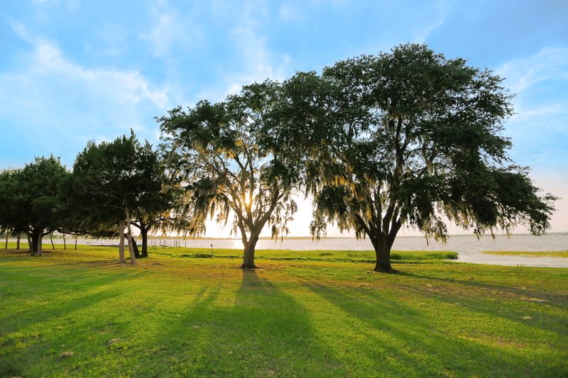Triathlons and Outdoor Events That Energize the Town