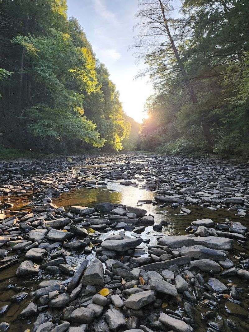Trough Creek Itself: A Crystal-Clear Stream Worth Admiring