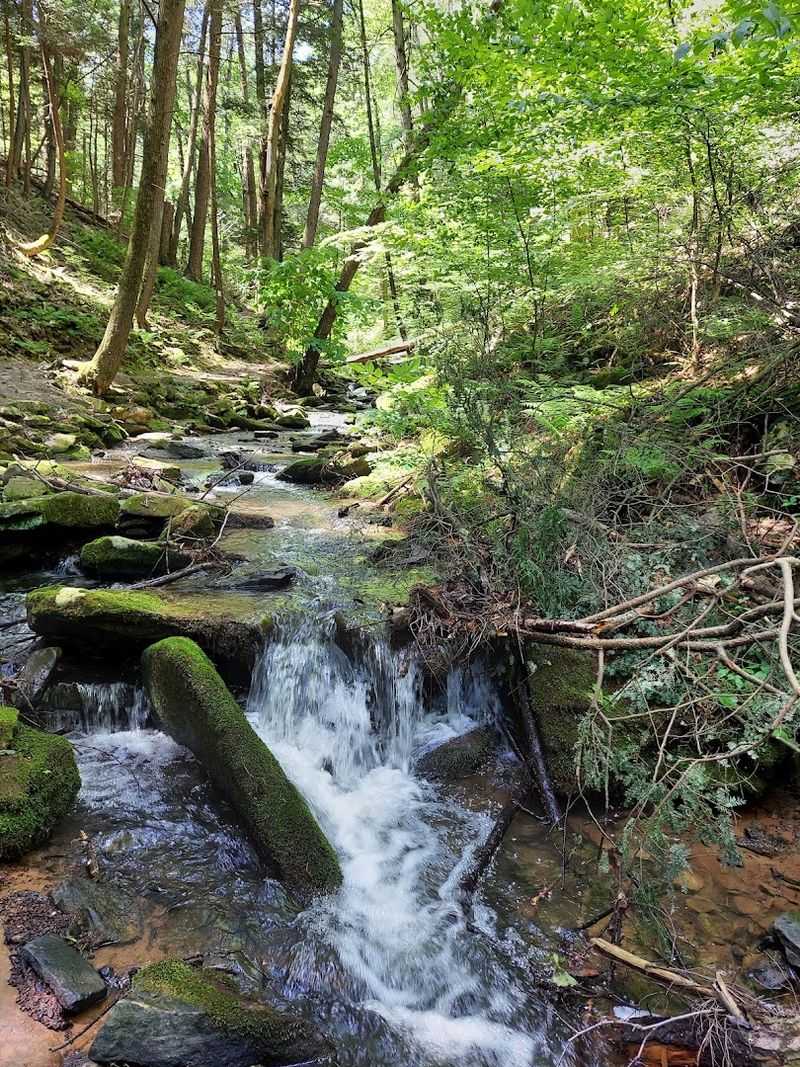 Trout Fishing: Casting a Line in One of PA's Most Scenic Spots