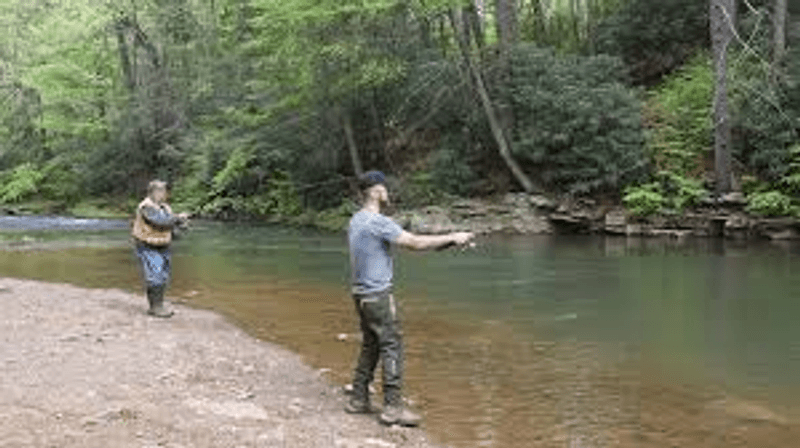 Trout Fishing in a Crystal-Clear Creek