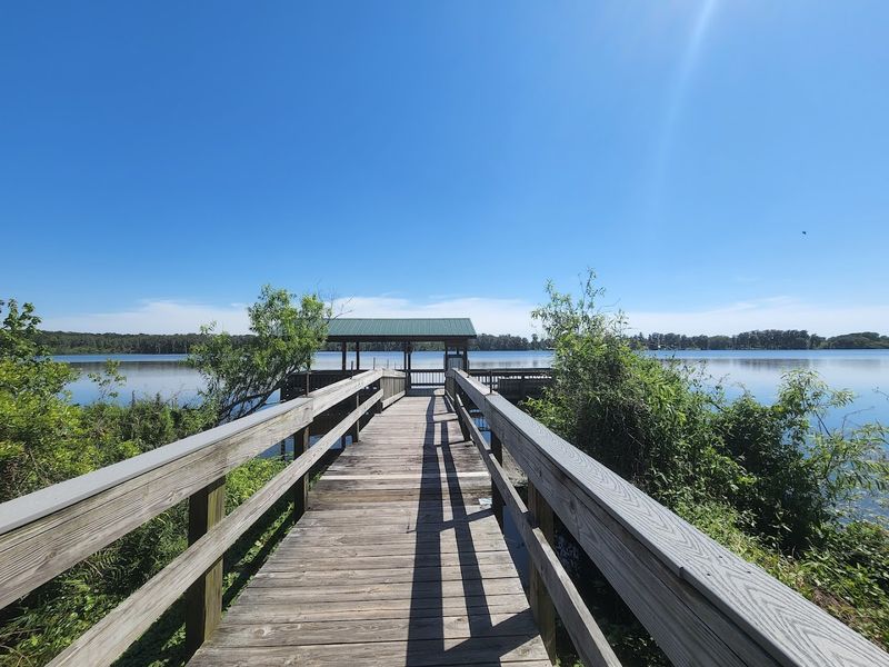 Trout Lake Nature Center: Wild Florida Right in Your Backyard