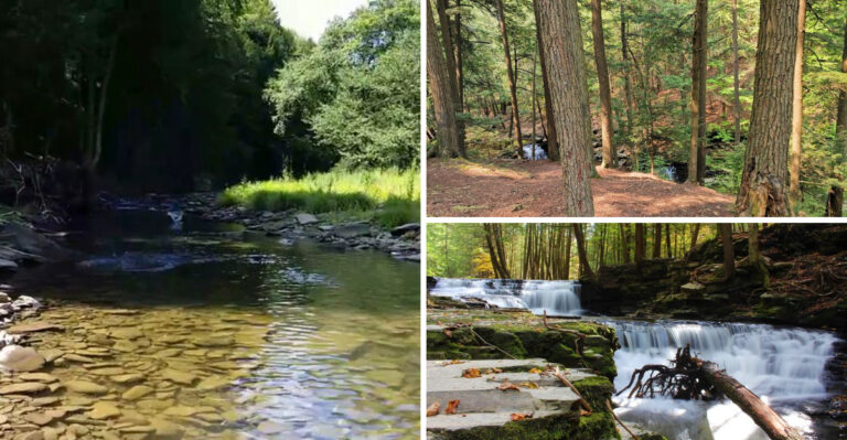 Tucked Away From The Crowds, This Stunning Pennsylvania State Park Feels Like A Secret Nature Lovers Somehow Missed
