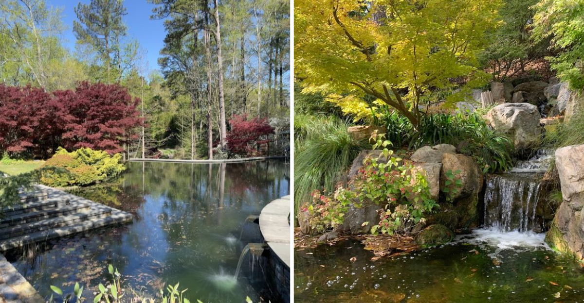 Tucked Away In North Carolina Is A Breathtaking Botanical Garden That Will Have You Planning Your Next Visit Before You Leave