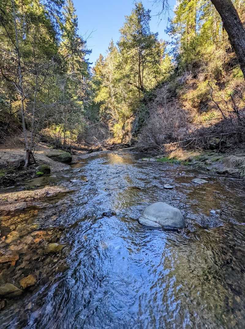 Two Beautiful Creeks Running Through the Park