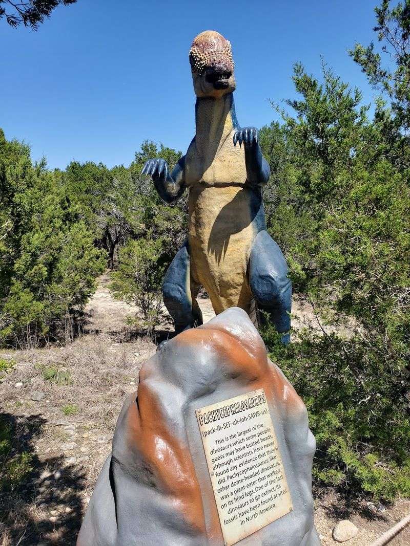 Two Dino-Themed Playgrounds Built for Big Imaginations Two Dino-Themed Playgrounds Built for Big Imaginations
