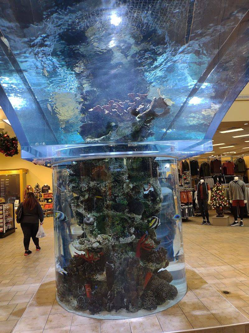Two Giant Aquariums That Rival Standalone Attractions