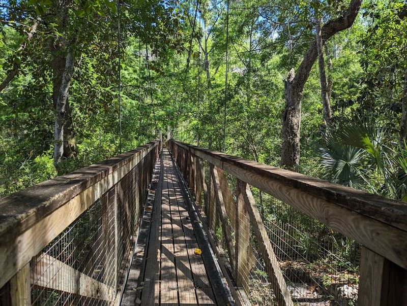 Two Suspension Bridges That Add a Thrilling Twist to Your Walk