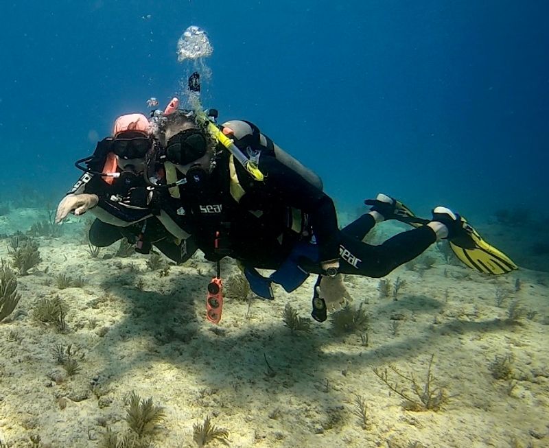 Two-Tank Reef Dives That Blow Your Mind