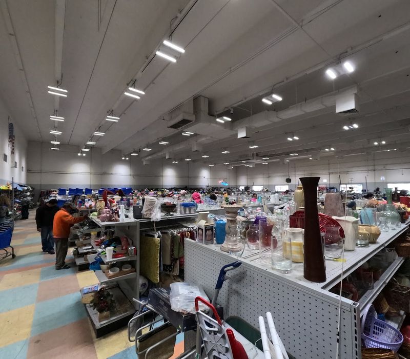 Unbeatable Bargains for Budget Shoppers