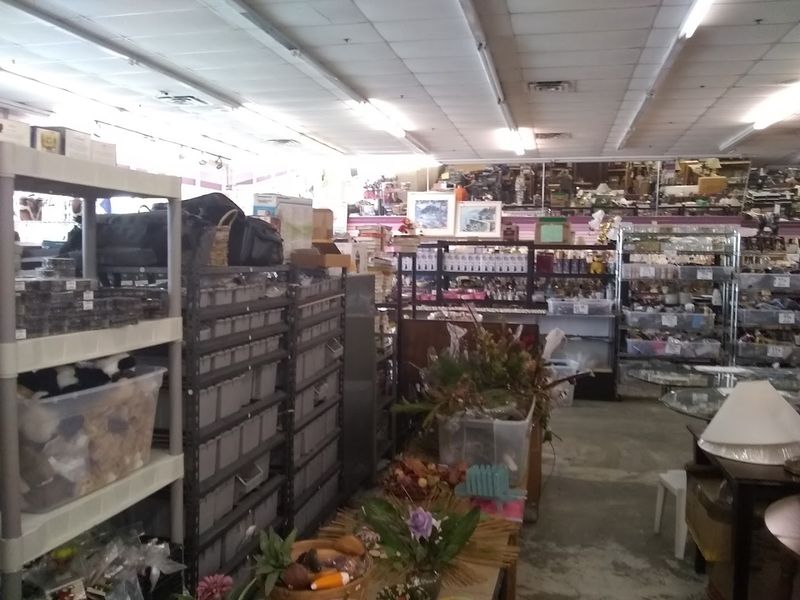 Unique Pottery and Quirky Collectibles You Cannot Find Anywhere Else