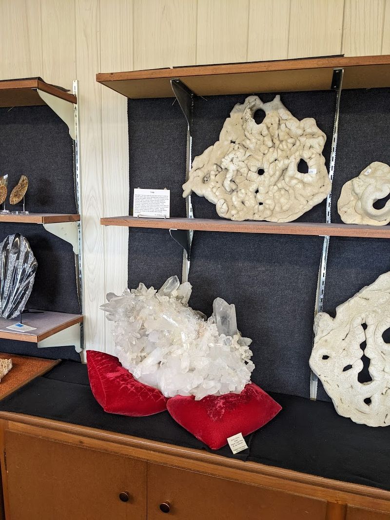 Velvet Trays and Thoughtful Shopping Experience