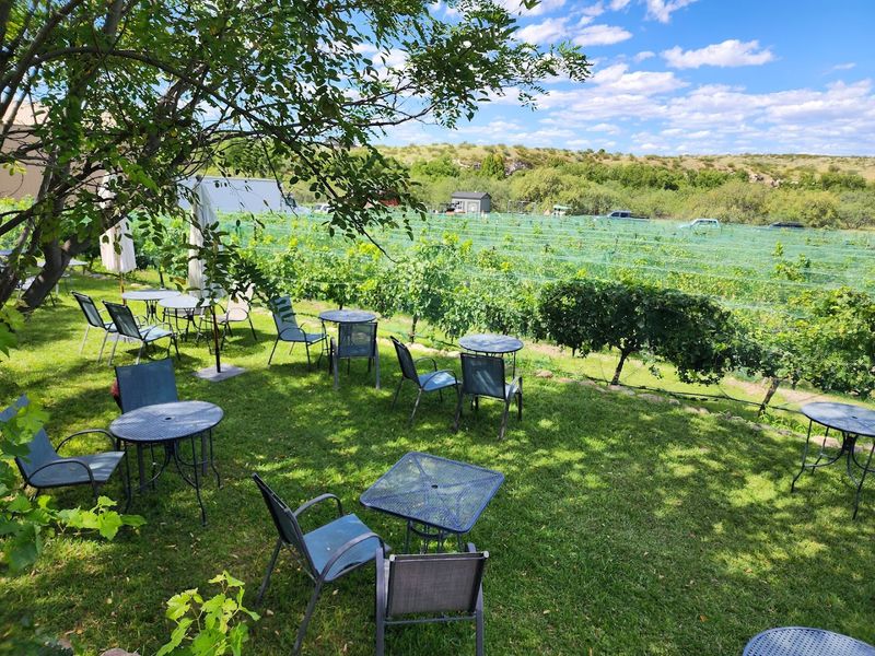 Vineyard Tours Led by the Passionate Winemaker
