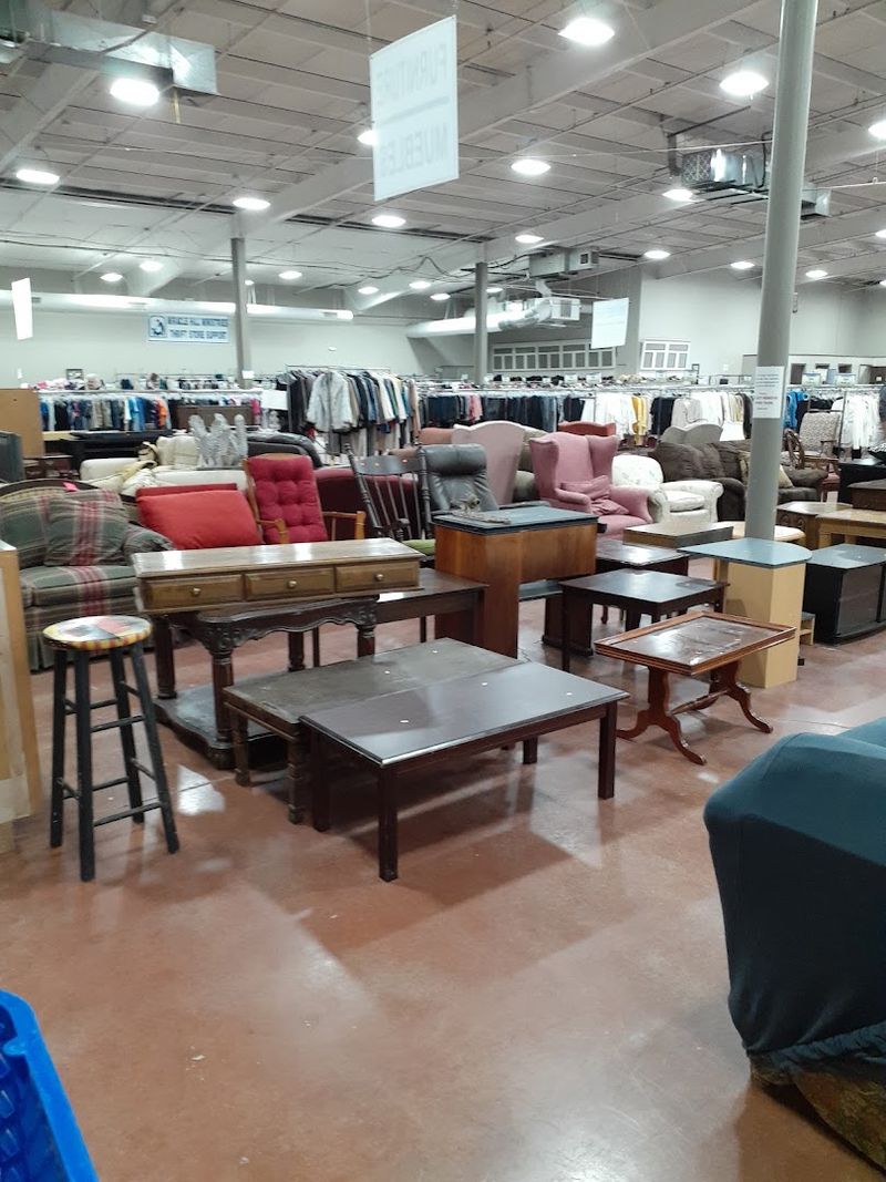 Vintage and Hard-to-Find Items That Collectors Treasure