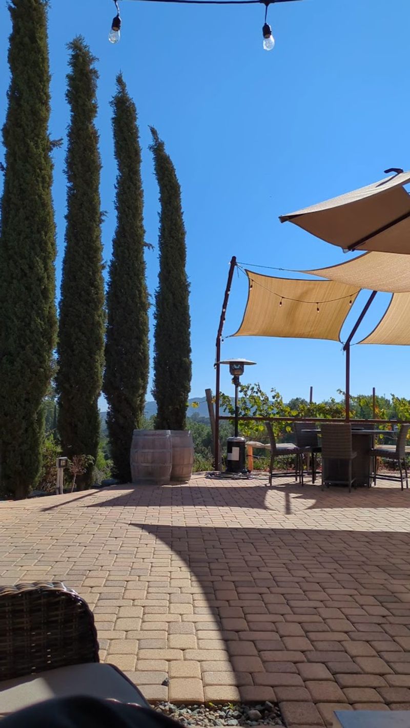 Walk the Line Syrah — Where Boldness Meets Balance Walk the Line Syrah — Where Boldness Meets Balance