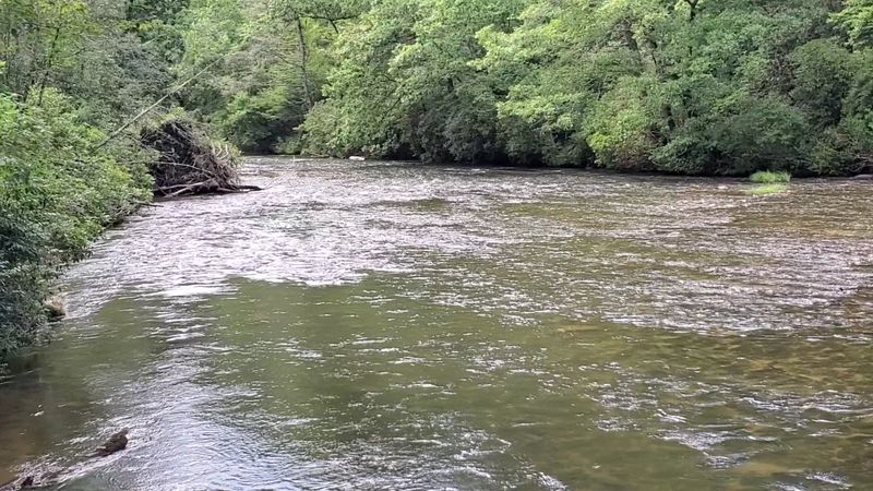 Walking Along the Stunning Chattooga River Walking Along the Stunning Chattooga River