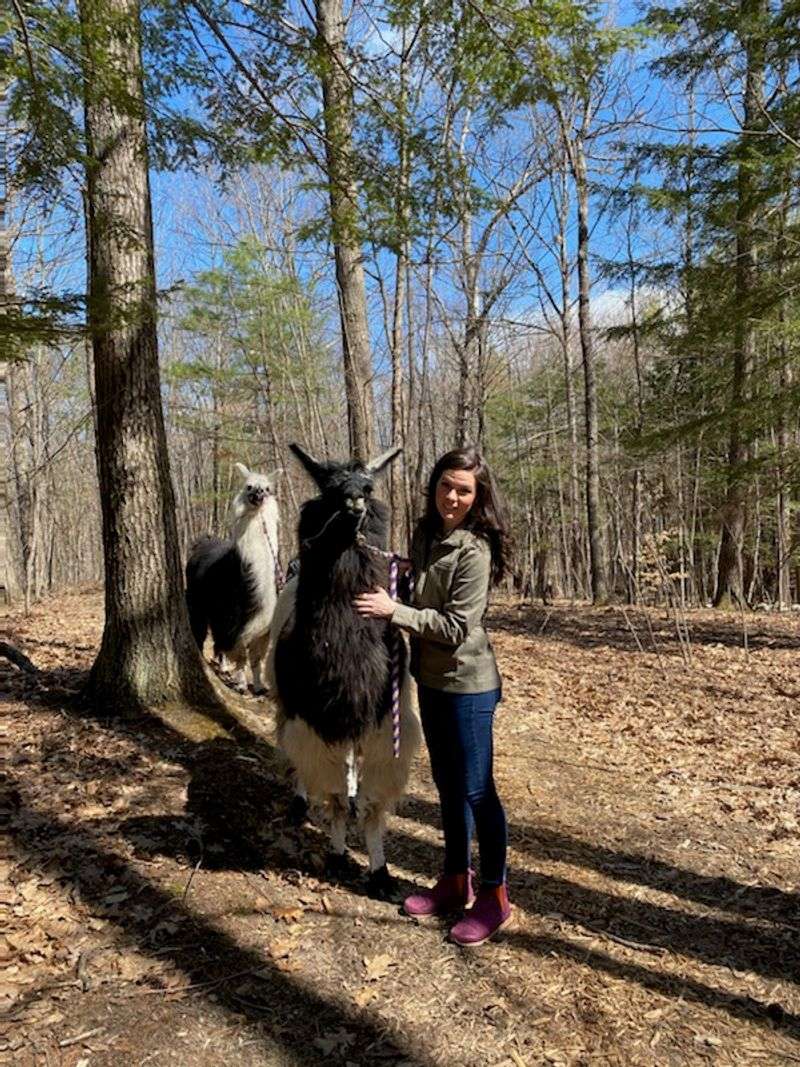 Walking Side by Side With a Llama on a Scenic Woodland Trail