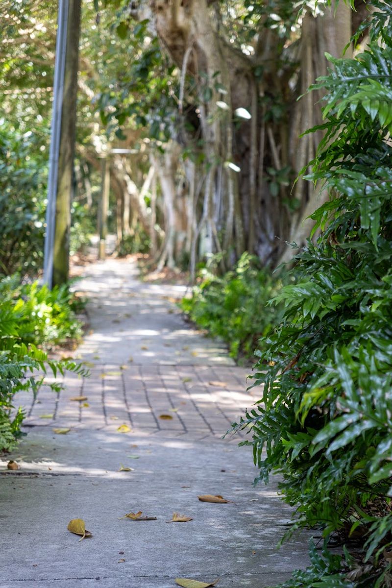 Walking Through Instead of Driving — Is It Worth It? Walking Through Instead of Driving — Is It Worth It?